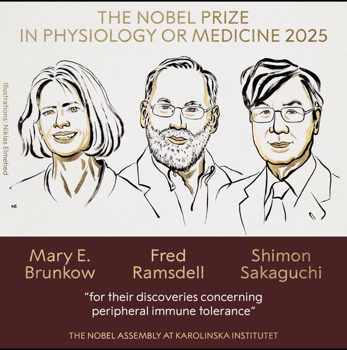 DrChoueiri's tweet image. JUST IN: The 2025 @NobelPrize in Physiology or Medicine has been awarded to Mary E. Brunkow, Fred Ramsdell and Shimon Sakaguchi “for their discoveries concerning peripheral immune tolerance.”