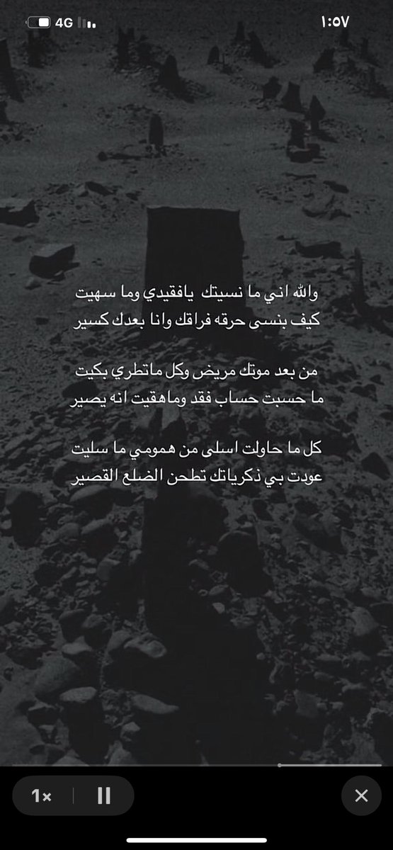 شيماء -- tweet media