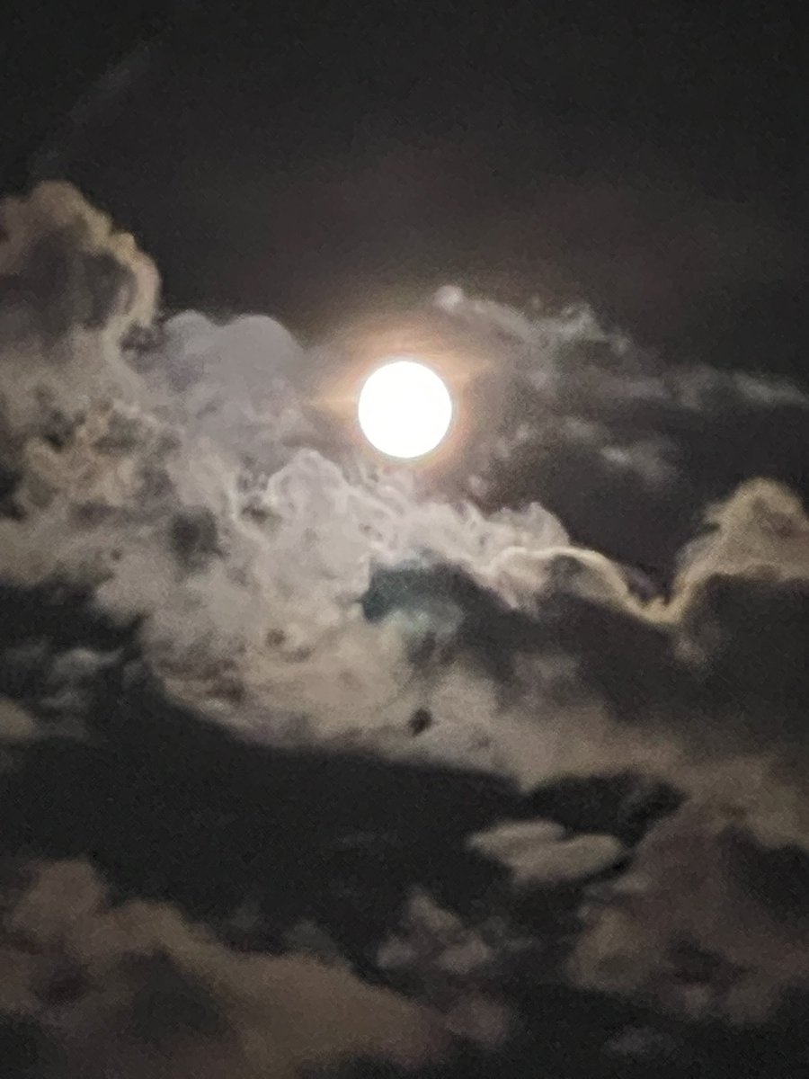diekato's tweet image. うまく撮れないけど月が綺麗🙂

奥さんが月見団子作ってくれたのでこれからみんなでいただきます