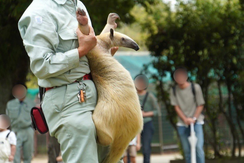 FliKi ♪ tweet media