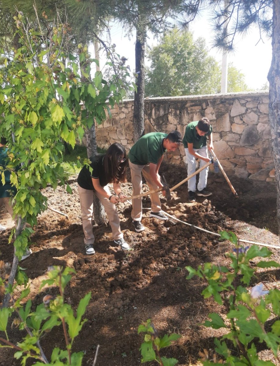 KireliMtal's tweet photo. Okulumuzun bahçesinde, öğrencilerimiz için kolları sıvadık! Artık öğrencilerimiz, yeşilin kucağında daha sakin, daha ferah bir ortamda eğitim alacak. Bu emek, onların gülümsemesi için...  #Öğrencilerimizİçin #YeşilEğitim #HuzurluBahçe @MeslekiEgitim42
@ErdoanMaden3
@HuyukilceMEM https://t.co/U14FKPaXsw
