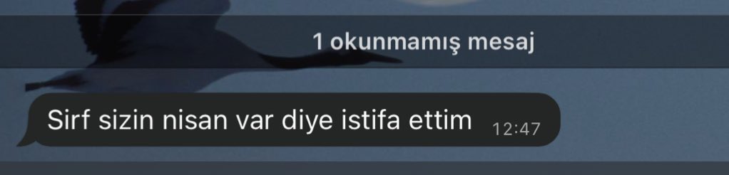 istifa etmek icin buldugum bahaneler
