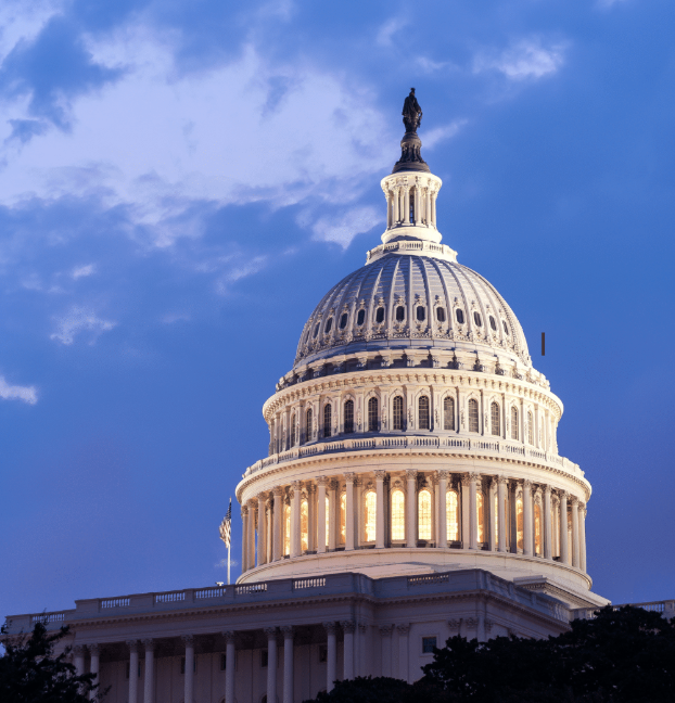 Coin Bureau tweet media