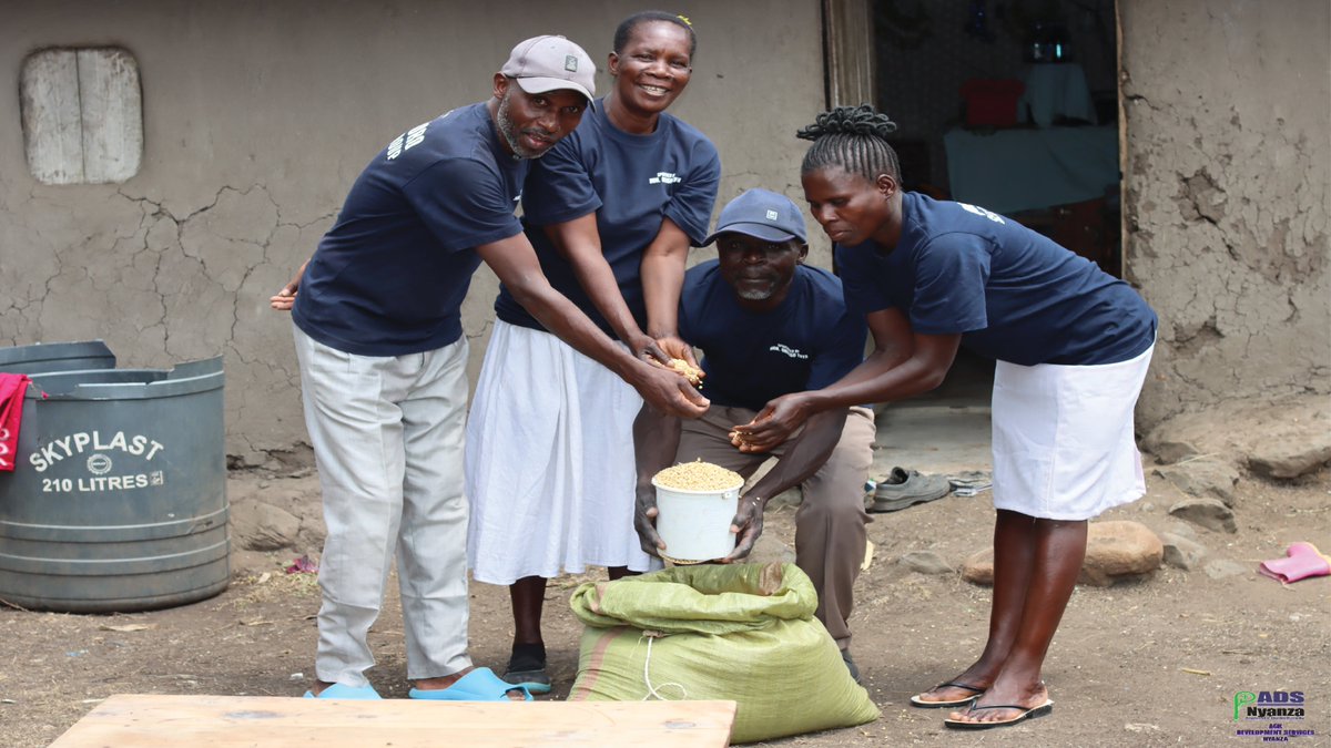 This #CustomerServiceWeek2025, we celebrate impact-driven services.

In Nyatike, Migori County, the Duk Jawiro Group turned poor harvests into success after ADS-Nyanza introduced drought-tolerant soybeans and market links, boosting yields by 83%.

bit.ly/4mOQgWM
