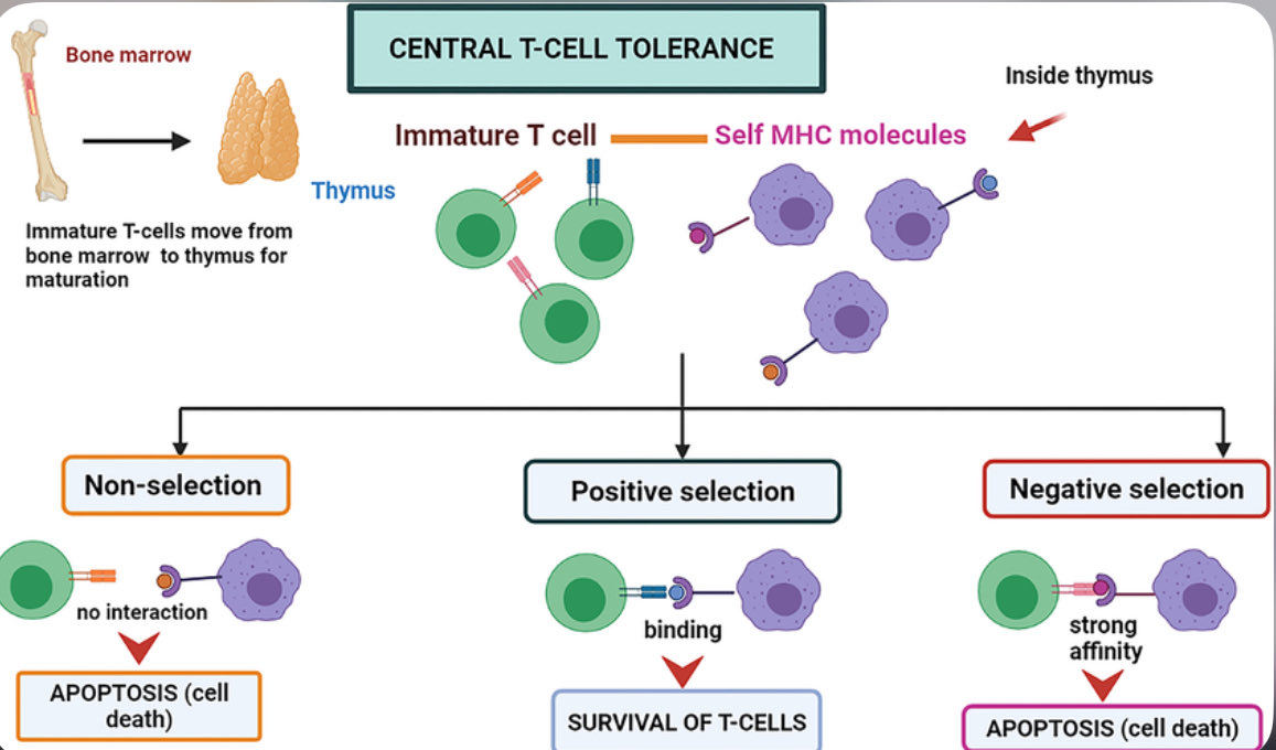 Pablo Jiménez tweet media
