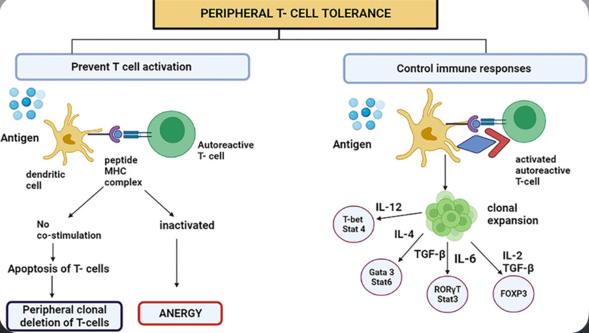 Pablo Jiménez tweet media