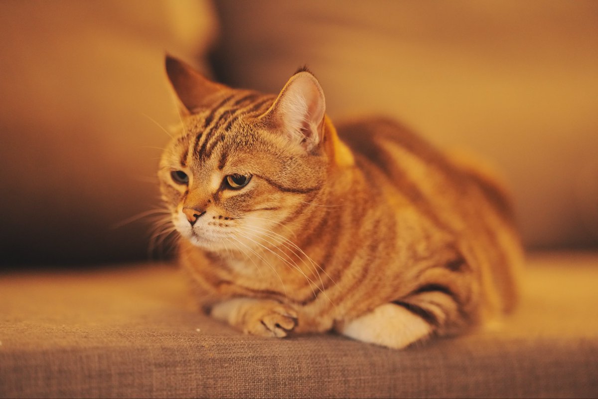 추석 명절 잘 보내세요