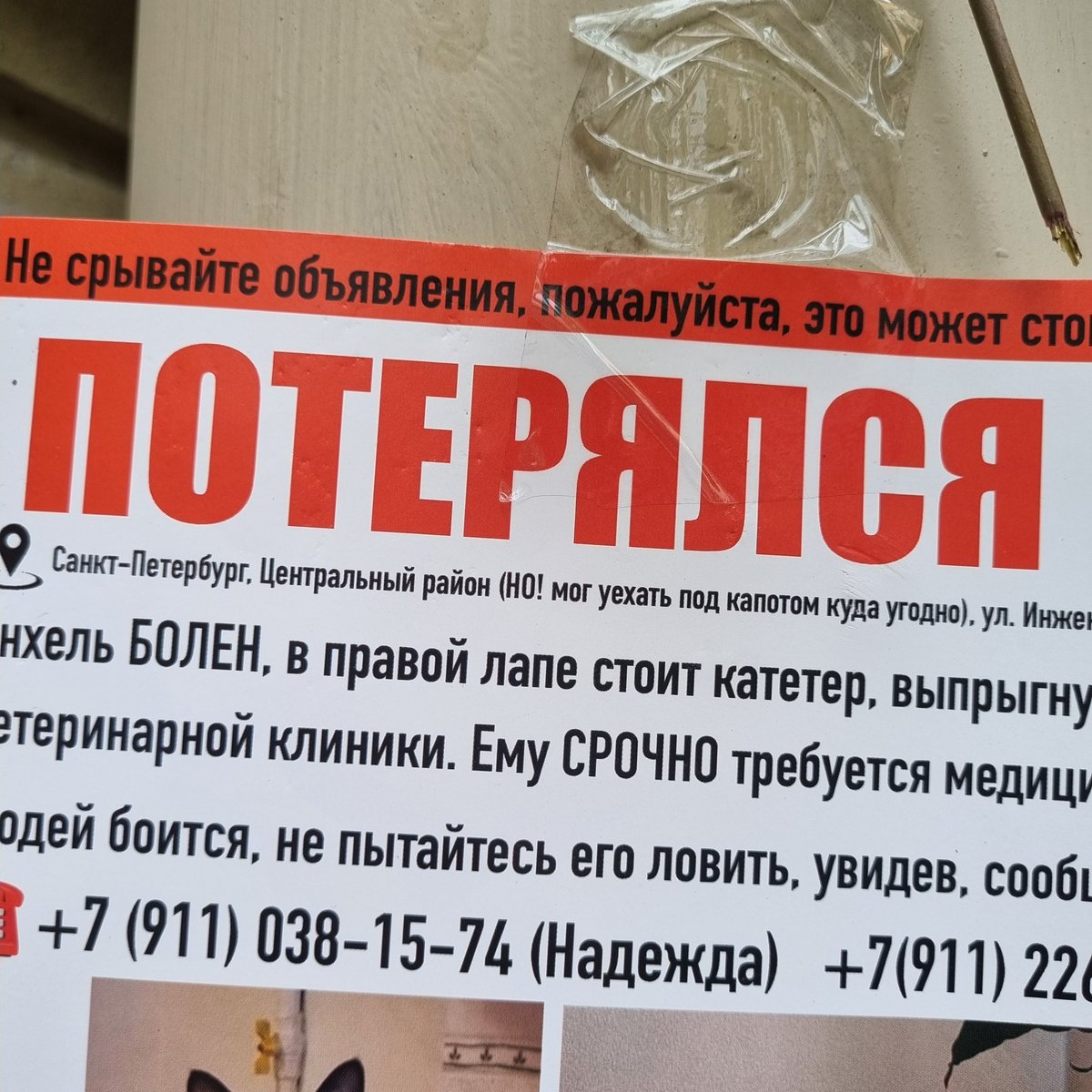 Вышла покурить на работе, увидела такое 🥺
<a href="/Moonhalf/">Половинка луны, меховые сыны и черная армия.</a> <a href="/vzrosly_content/">ВЗРОСЛЫЙ КОНТЕНТ</a> прошу сделать репост пожалуйста 
СПБ