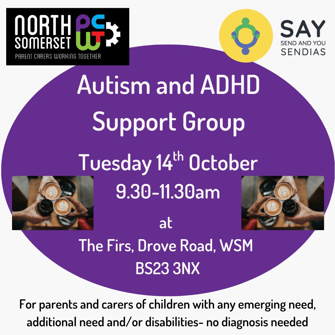 North Somerset Parent Carers Working Together tweet media