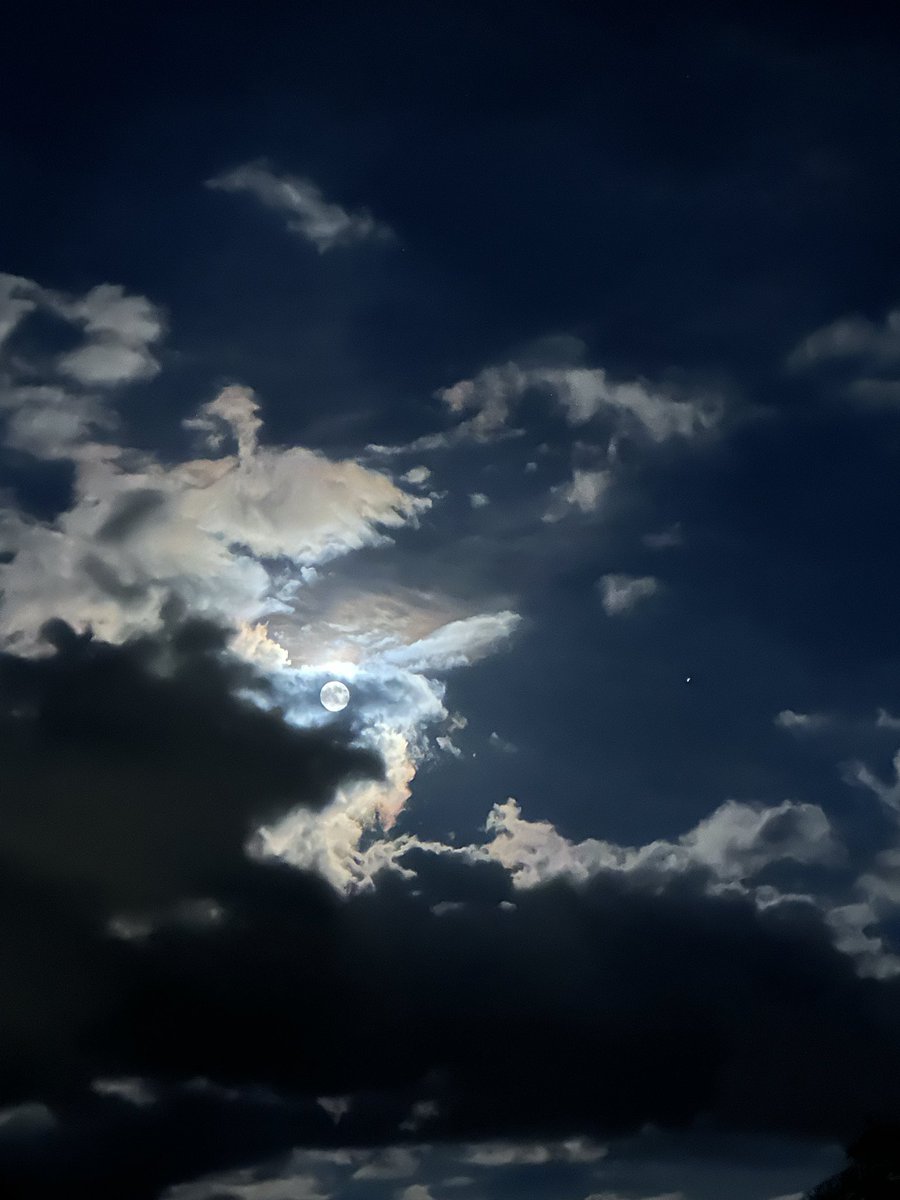 中秋の名月。🌕