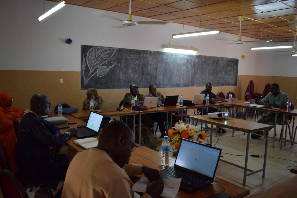 CadevNiger Officiel tweet media