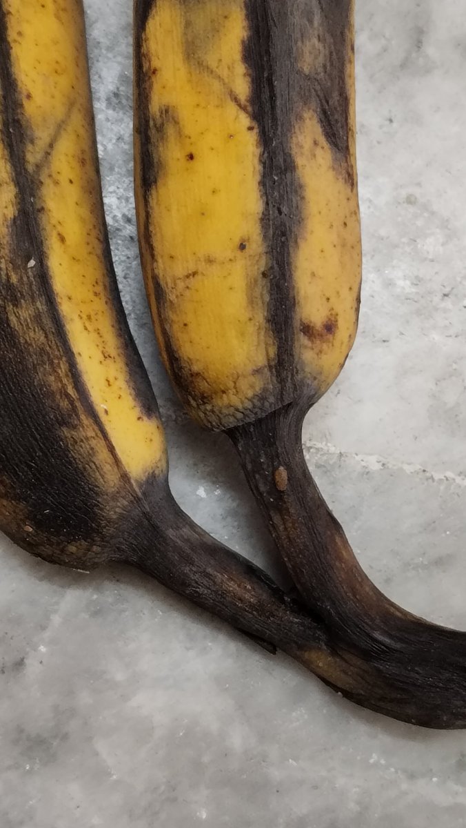 AtrijoM's tweet photo. Order Id 17597414030456553A
The Martaman Banana that is delivered to me is Rotten and bad smell is coming from it. @JioMart_Support @JioMart https://t.co/QHqQq0W8PH