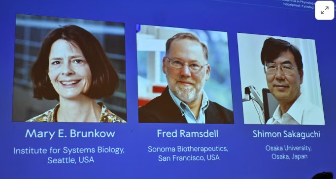 2025 Nobel Prize in #Medicine Announced!

Mary E. Brunkow, Fred Ramsdell and Shimon Sakaguchi receive the #NobelPrize for revealing how our #immune system knows when to hold back - preventing it from mistakenly attacking our own body.

This breakthrough in peripheral immune