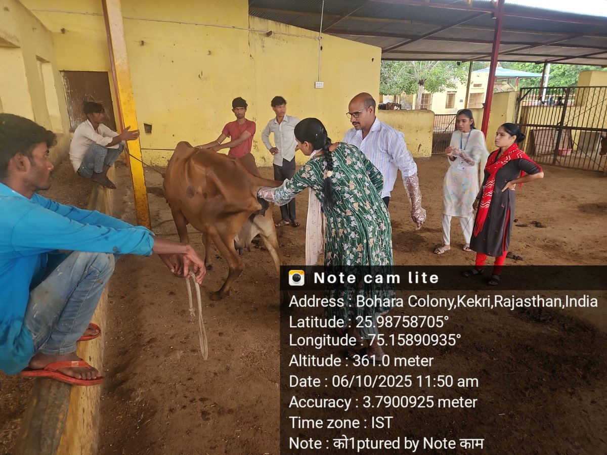 rajanimalhus's tweet image. केकड़ी गौशाला में कृत्रिम गर्भाधान का प्रायोगिक प्रशिक्षण, पशुधन विकास व नस्ल सुधार की ओर महत्वपूर्ण कदम।
#पशुपालन_विभाग #AITraining 
#animalhusbandry #WorldAnimalDay