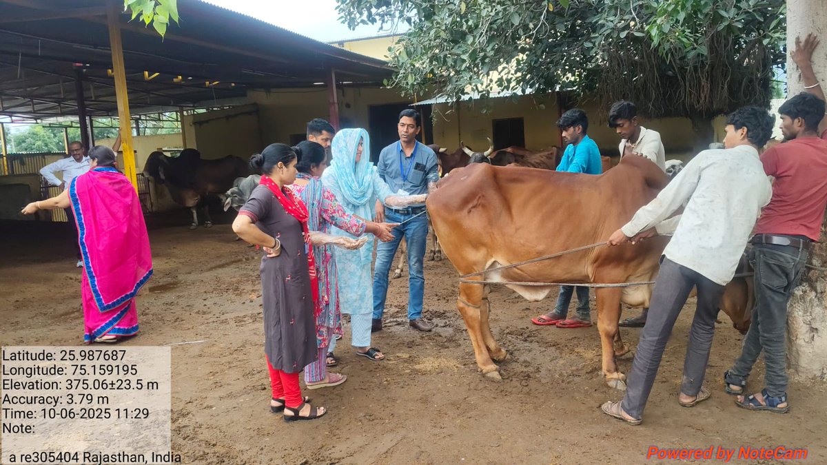 rajanimalhus's tweet image. केकड़ी गौशाला में कृत्रिम गर्भाधान का प्रायोगिक प्रशिक्षण, पशुधन विकास व नस्ल सुधार की ओर महत्वपूर्ण कदम।
#पशुपालन_विभाग #AITraining 
#animalhusbandry #WorldAnimalDay