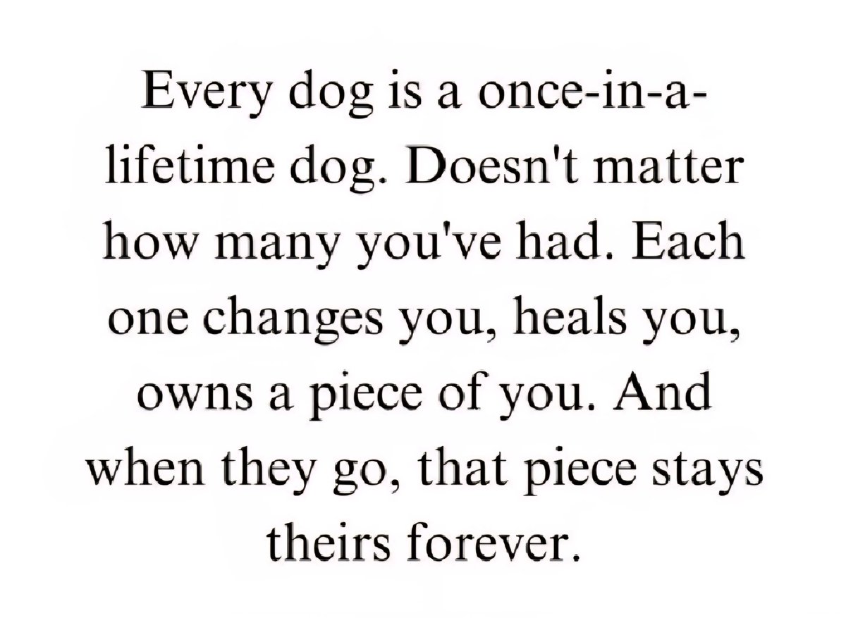 Anita11578064's tweet image. ❤️🐶