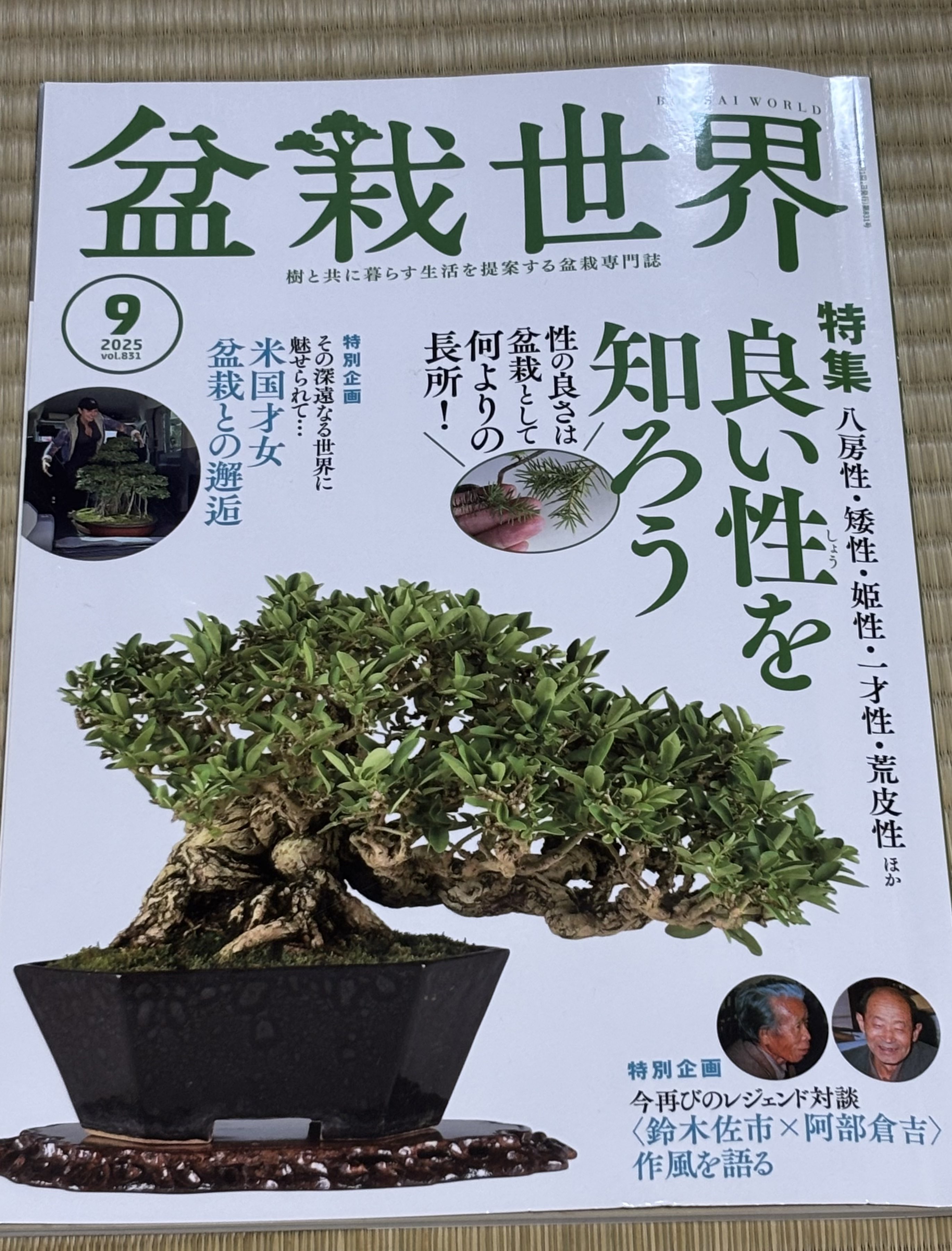 盆栽世界 - Search / X