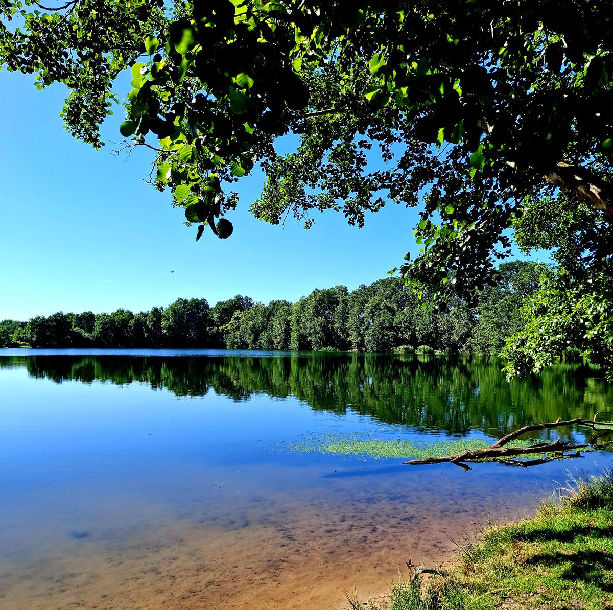 chriz31_07's tweet image. Show me something you love photographing.