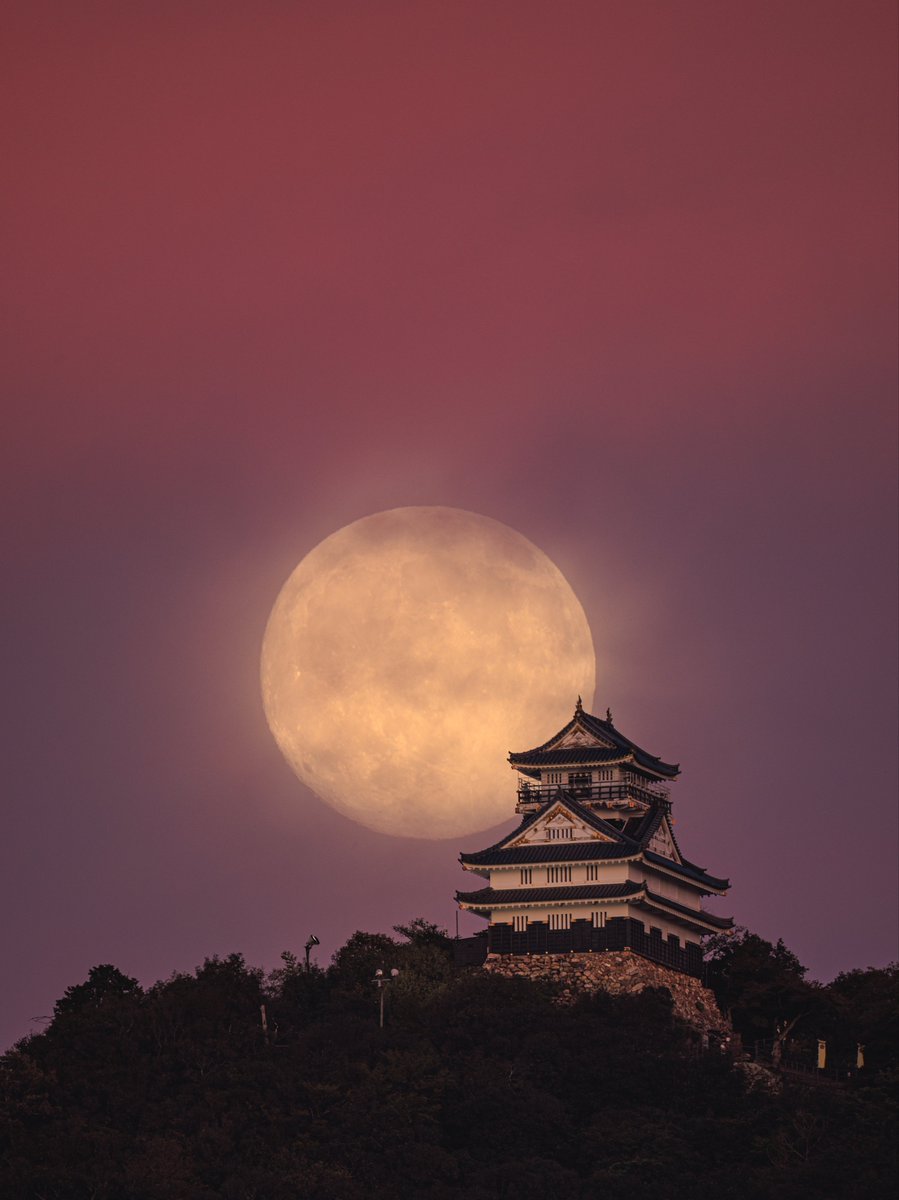 岐阜城と中秋の名月2025
今年は紅焼けと撮影する事が出来ましたので是非ご覧下さい