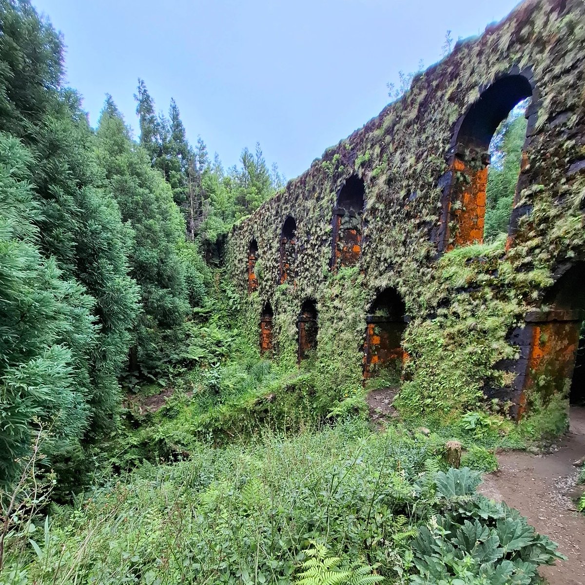 "He who looks outside dreams; 
he who looks inside awakens."

— Carl Jung