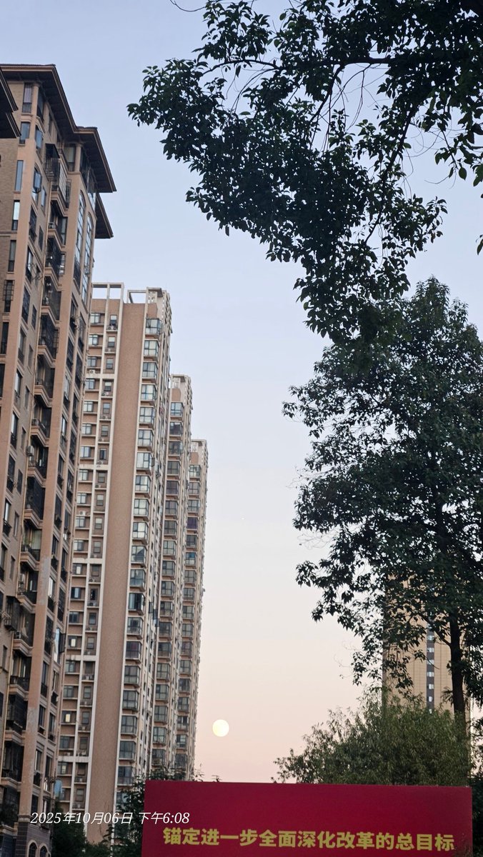 davefcxi's tweet image. 圆月。