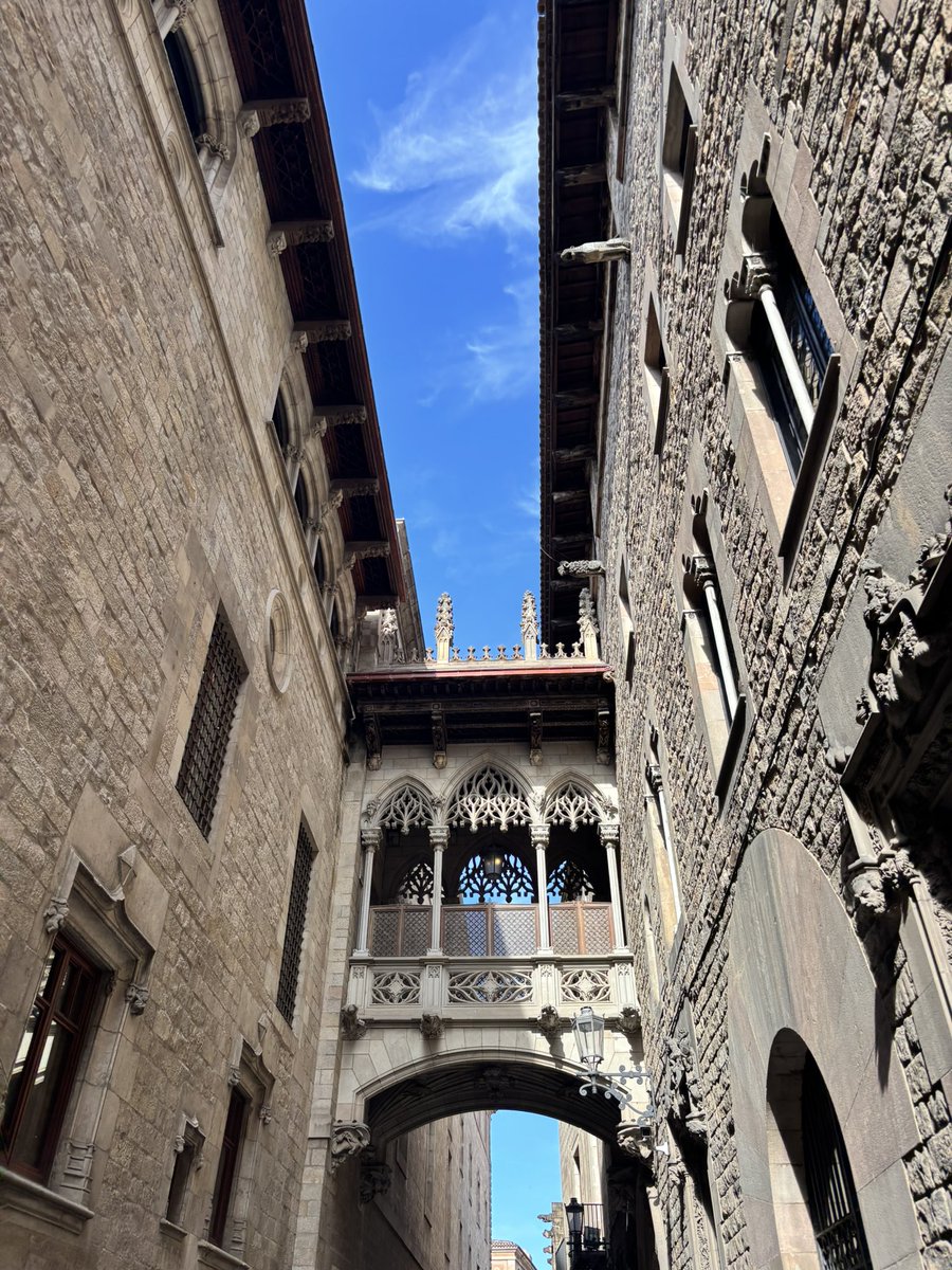 CastleMfl's tweet photo. El barrio gótico https://t.co/SlymISbQx1