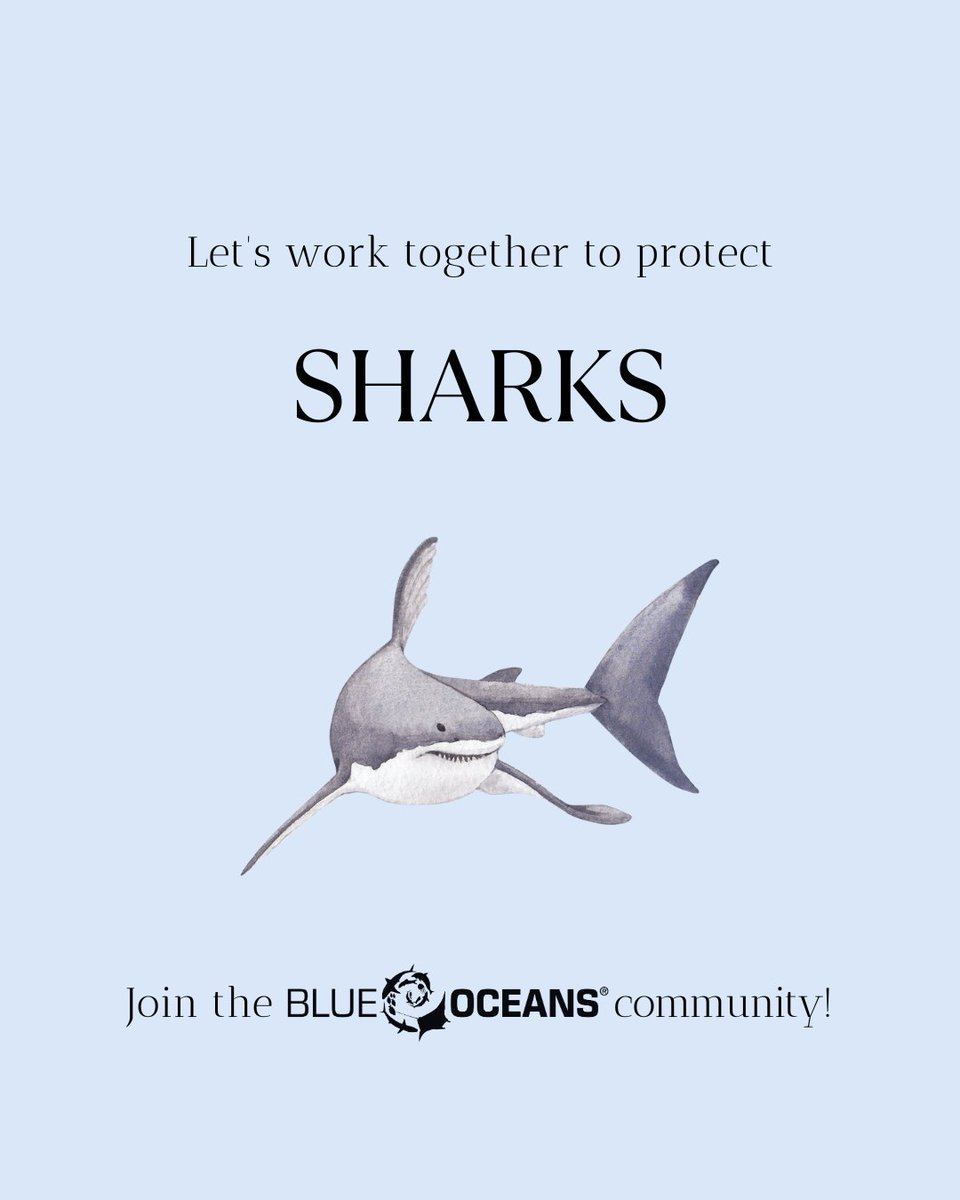 Did you know these surprising facts about #sharks? 🦈 

#marinelifemonday #blueoceans