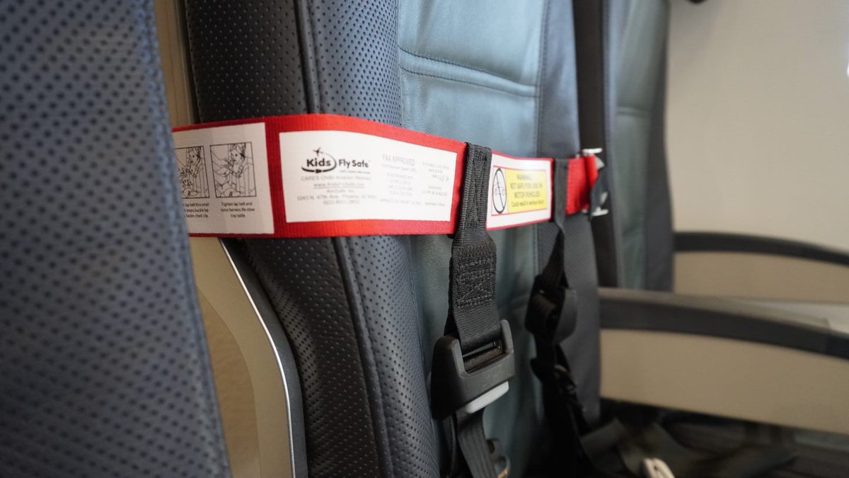 CARESHarness's tweet photo. It's easy to keep your children safe during air travel. Check out the first and only harness type Aviation Child Safety Device to be certified by the Federal Aviation Administration as an alternative to a car seat. https://t.co/sQUVm0MKxz 
#kidsflysafe #toddlertravel
#toddlers https://t.co/pn9MbVj0OC
