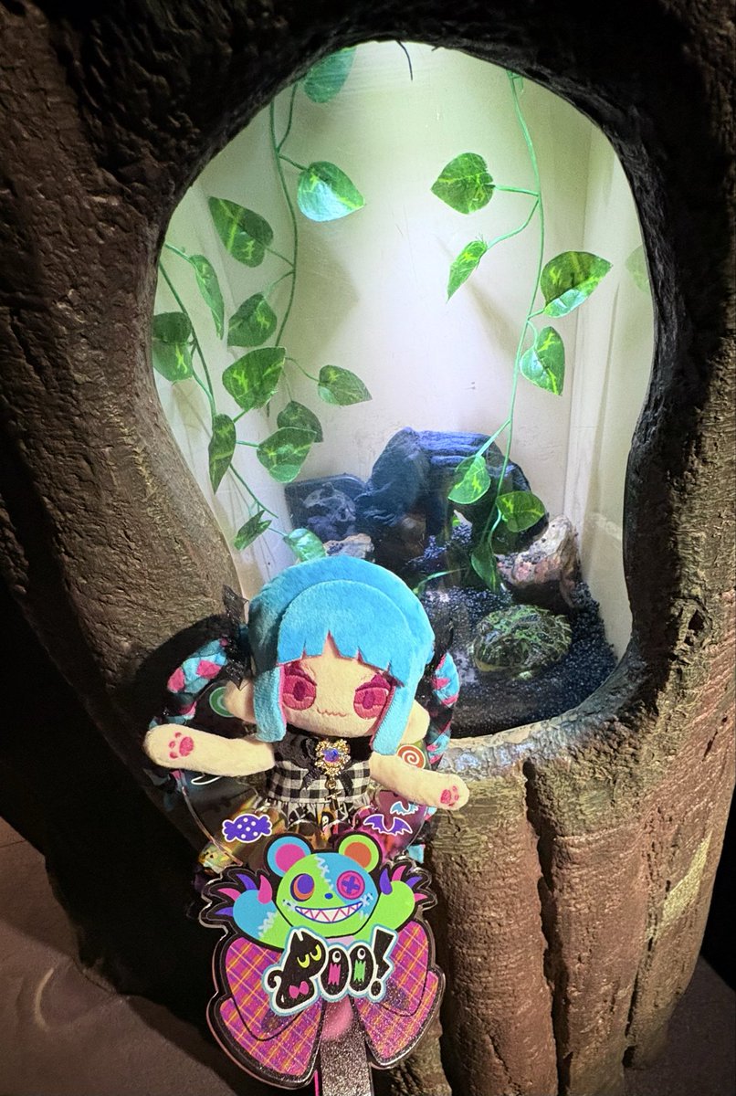 👻ぬいCatch🎃(<a href="/jiropi_tw/">じろぴ🧸12/21cos🪄︎︎2/21.22fes🪄︎︎2/28MDP</a> さん)