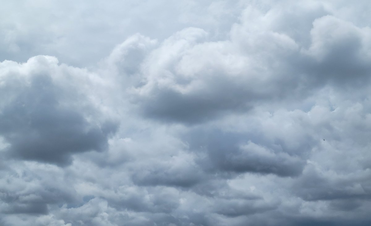 KON🌐💻 tweet media