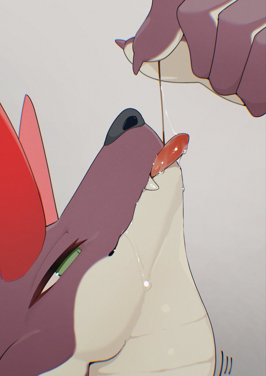 ぽん太郎🔞 tweet media