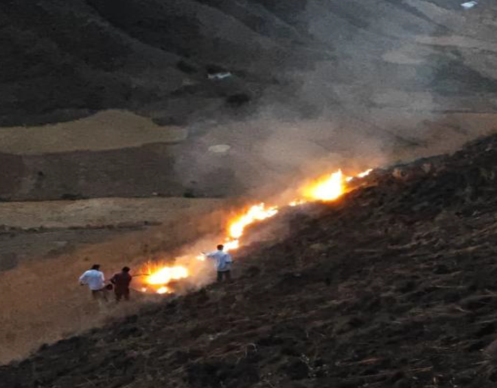 COENPeru's tweet photo. 📢 Cusco: el 5/10 se reportó un #IncendioForestal en el sector Miskipata, distrito de #Lucre, provincia Quispicanchi. Serenazgo y brigadistas del gobierno local extinguieron el fuego. (1/2) https://t.co/Q3CSHKZGqb