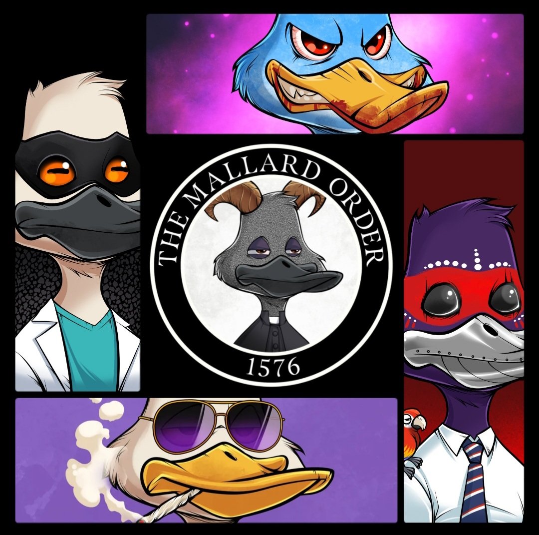 Its a good day to be a Quacker.

Happy #MallardMonday !

Nothing quite like a <a href="/MallardOrder/">The Mallard Order</a>  ducker to start the week! 
Mallard UP m'fers
LFG