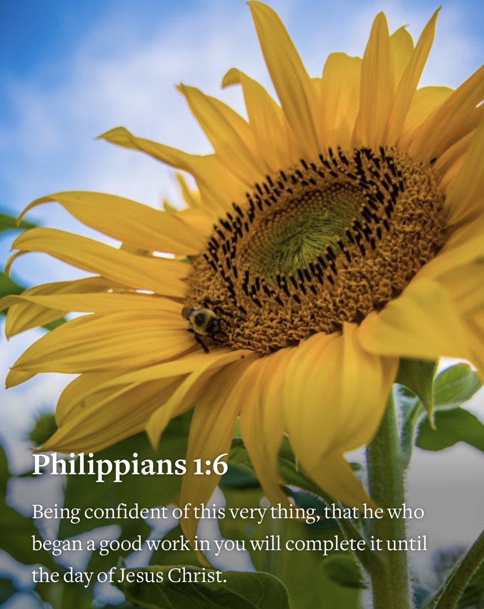 Tim Gradous tweet media