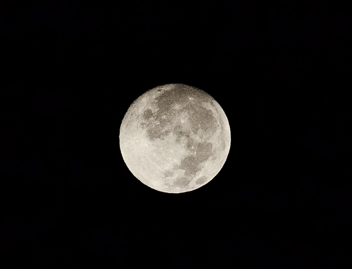 flukadamus's tweet image. 10.6.25. #mke

Nearly full Harvest #moon. 🌕📸