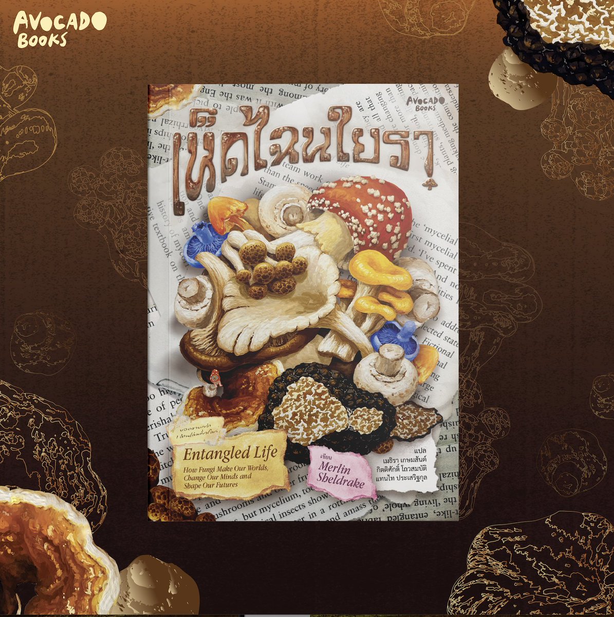 AvocadoBooksTH's tweet photo. อีกหนึ่งผลงานใหม่จาก Avocado Books ที่ซื้อลิขสิทธิ์อย่างถูกกฎหมายมาเพื่อนักอ่านชาวไทย!
#เห็ดไฉนใยรา ( #EntangledLife : How Fungi Make Our Worlds, Change Our Minds & Shape our futures)
ㅤ
บันทึกประสบการณ์ชีวิตและการผจญภัยตามล่าหาเห็ดของนักวิจัยด้านเห็ดราวิทยา ผสานความรู้เรื่องเห็ด ๆ รา ๆ ที่จะพานักอ่านทะลุเข้าไปสู่โลกของสิ่งมีชีวิตขนาดเล็กที่ใกล้ตัวเราจนแทบมองไม่เห็นอย่างเห็ดและรา
ㅤ
หนังสือเล่มนี้จะพาเราไปรู้จักและทำความเข้าใจว่าเห็ดรามีวิวัฒนาการอย่างไรถึงได้ยืนหยัดคู่โลกมาได้ยาวนานนับแต่ยุคดึกดำบรรพ์ แถมยังสามารถเปลี่ยนโลกได้ในหลายมิติอีกด้วย แถมประสบการณ์ของ @MerlinSheldrake ก็ยังเปี่ยมไปด้วยประสบการณ์น่าสนใจที่เปิดโลกให้เราเห็นชีวิตของผู้ประกอบอาชีพนักวิจัยอีกด้วย!
ㅤ