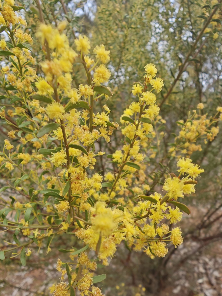 Stuart Barber tweet media