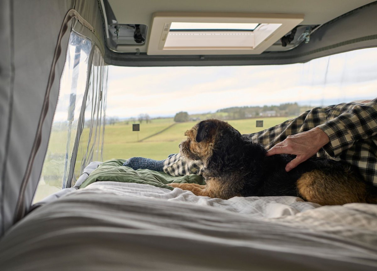 swiftgroup's tweet image. Autumn called… it said ‘stay in PJs all morning with your dog’ 🐶