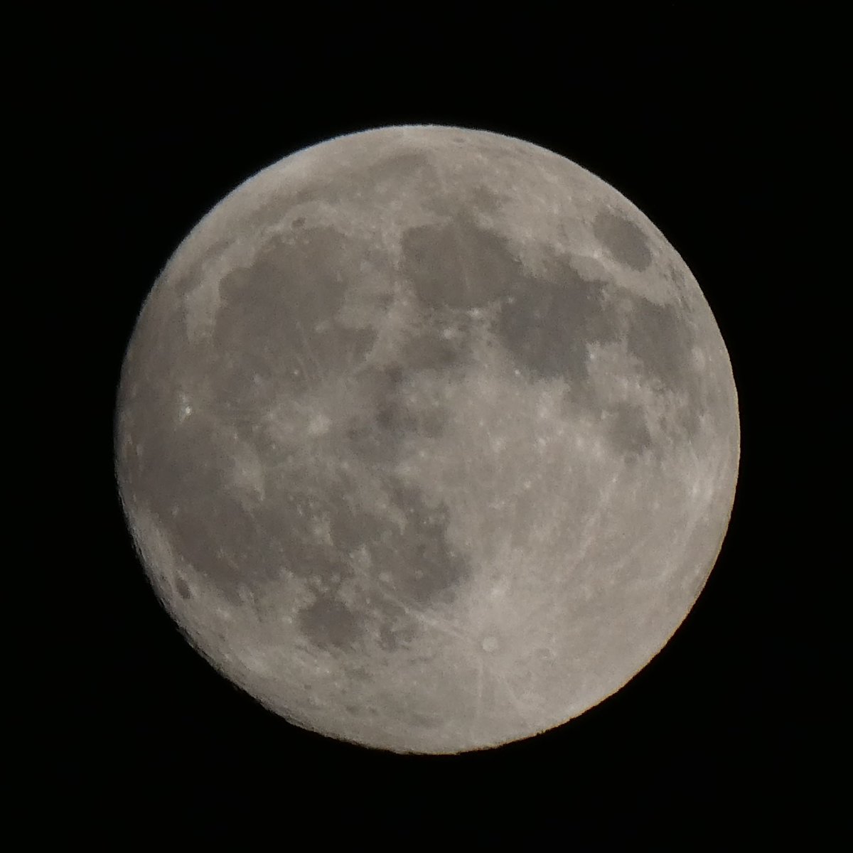 ❤️　❀本日満月月祈りヒーリング❀ mocanyan❀本日満月月祈りヒーリング❀ 🕊️ - 満月の夜/日向 燈