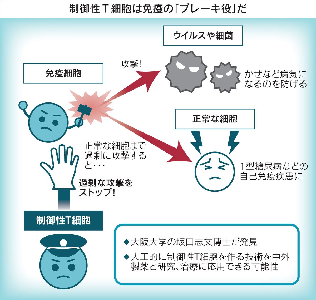 【ノーベル生理学・医学賞に坂口志文氏】
免疫暴走による病気止める「制御性T細胞」とは
nikkei.com/article/DGXZQO…

坂口志文・大阪大学特任教授が発見した「制御性T細胞」。免疫が自分の体を攻撃してしまう1型糖尿病などの自己免疫疾患の治療技術として有望です。

#ノーベル賞