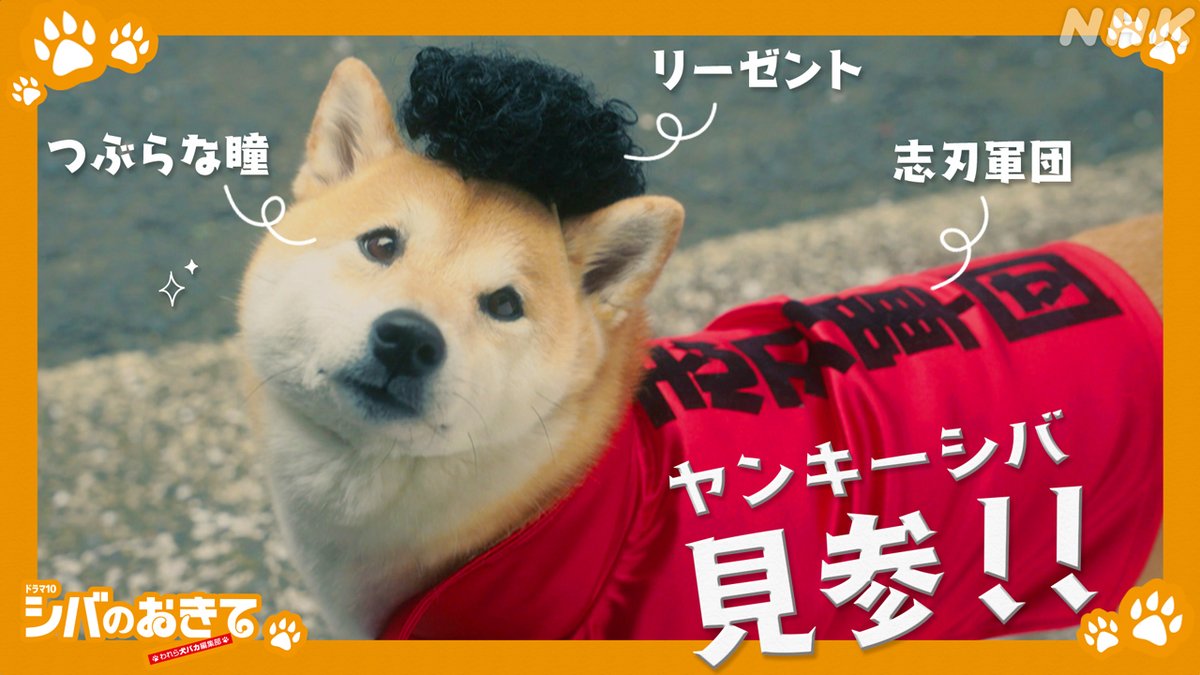 すぎいぬ様の専用ページ いぬ様 専用ページ カンガルー様専用 いぬ様 確認ページ カンガルー様