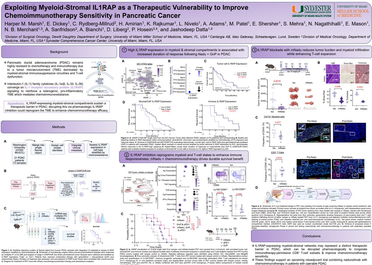 FrillePelle's tweet photo. CANTARGIA at AACR PDAC 2025

These data collectively suggest that IL1RAP is highly relevant in PDAC and can be meaningfully targeted by Nadunolimab

These findings support an upcoming neoadjuvant trial combining Nadunolimab with chemoimmunotherapy in patients with operable PDAC https://t.co/sLQF92mCH2