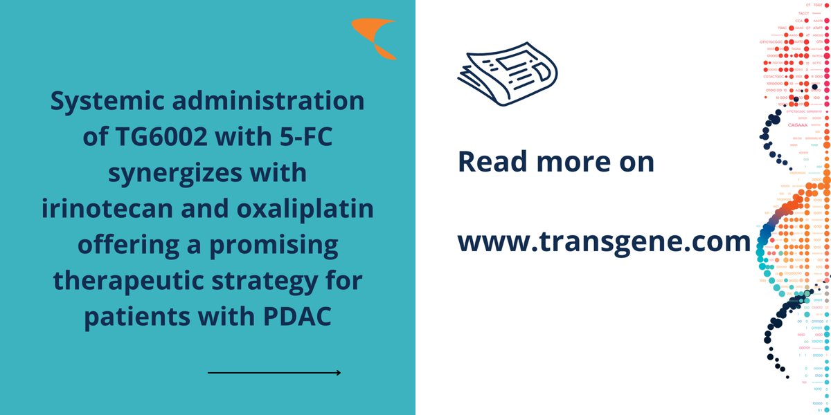 👍 <a href="/TransgeneSA/">Transgene</a>  recently published in <a href="/FrontiersIn/">Frontiers</a>!
“TG6002 oncolytic vaccinia virus and chemotherapy synergy: a promising strategy for pancreatic ductal adenocarcinoma”
👉Read the article : shorturl.at/FxP8N