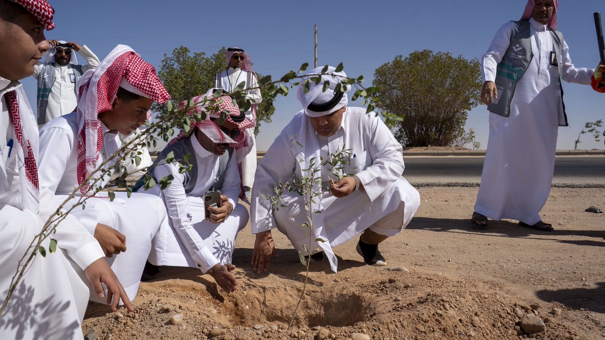 #بلدية_القيصومة تطلق حملة زراعة الأشجار والشتلات بمشاركة طلاب المدارس،
والجهات الحكومية، والجمعيات الخيرية،
وعدد من الأهالي والمتطوعين،
تعزيزًا للوعي البيئي والإسهام في زيادة الغطاء النباتي 
#بلدية_القيصومة
#امانة_حفرالباطن 
#حملة_التشجير
#نحمي_بيئتنا