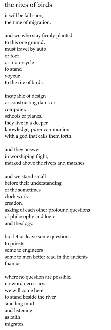 #poetry #poetrylovers #poetrycommunity #poetrytwitter #poem #poet #PoeticTruths
#BraveWrite  #poetsoftwitter #WritersofTwitter #WritingCommunity

the rites of birds