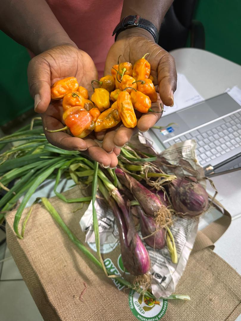miketerungwa's tweet photo. Visited #GIFSEP urban farm ahead of #WorldFoodDay 
More than 820 million people have insufficient food and many more consume an unhealthy diet that contributes to premature death and morbidity.
#RightToFood
#Adapt2Live
#BBNaija10 
#MondayMotivation 
Tunde https://t.co/clleviAc9h