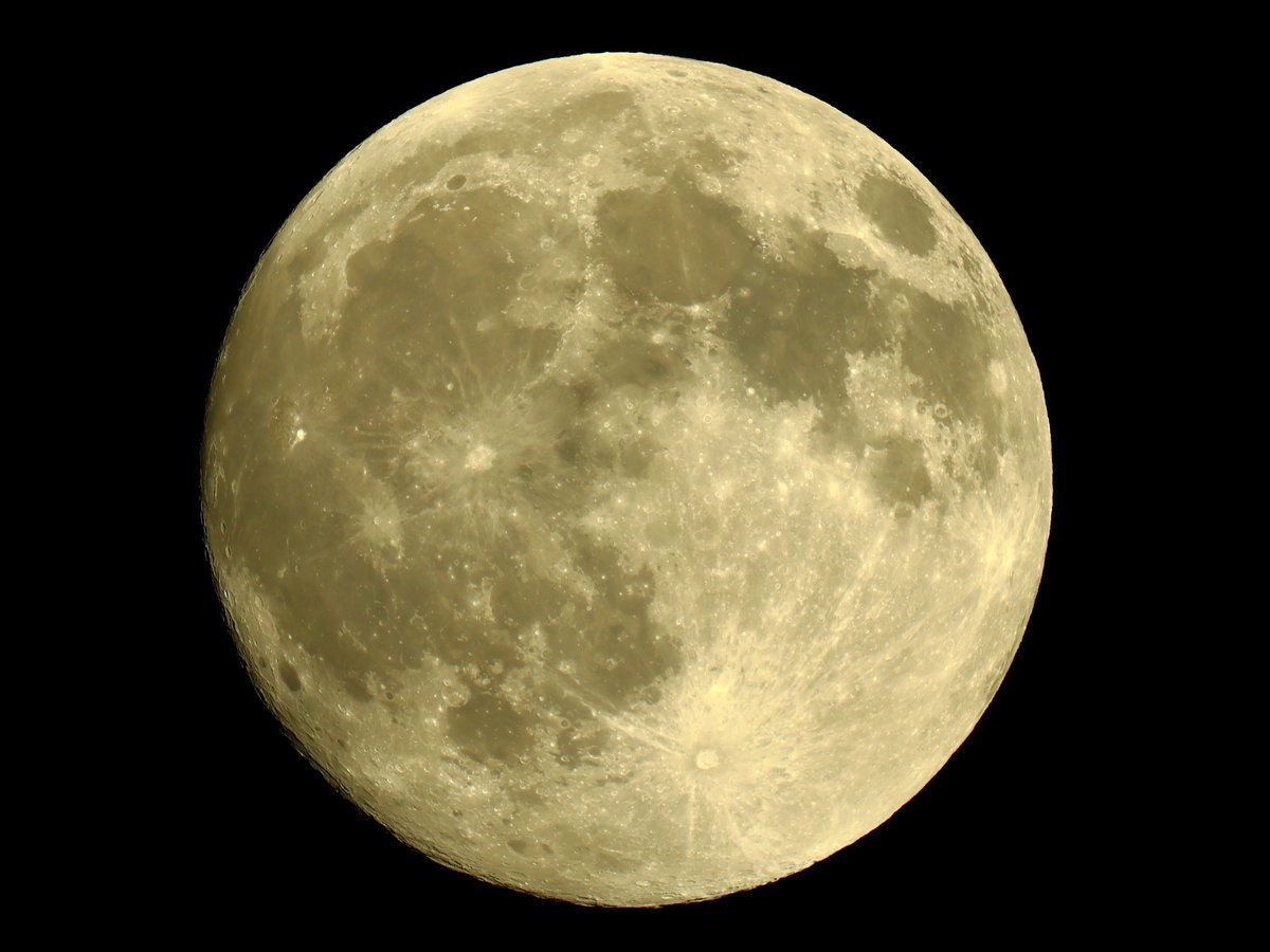 中秋の名月2025

#中秋の名月