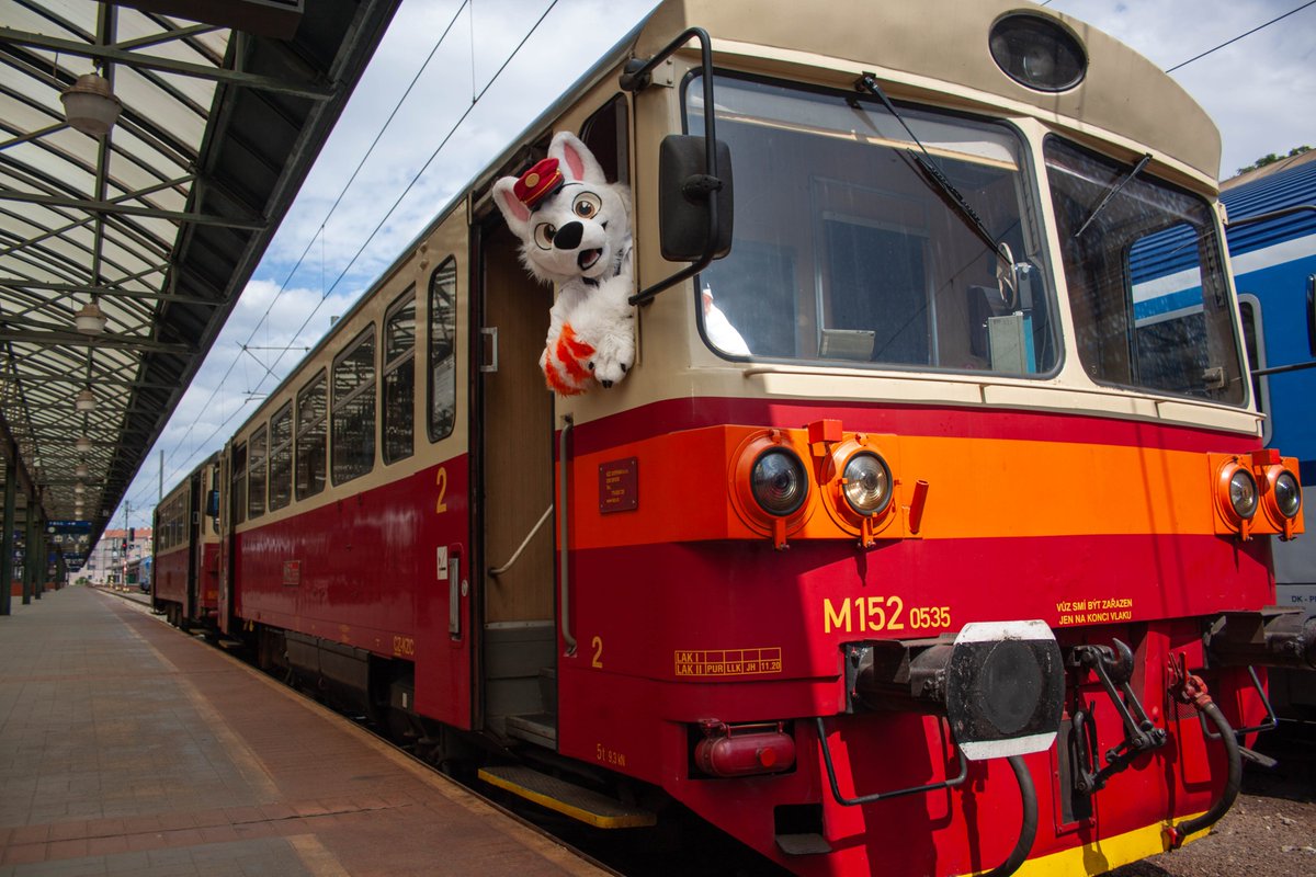 Taking the bus? What about taking the RAILbus? 😁🚂🐶

Have a great week everyone! 🧡🤍

📸 <a href="/LickTheProto/">Lick's Photo</a>