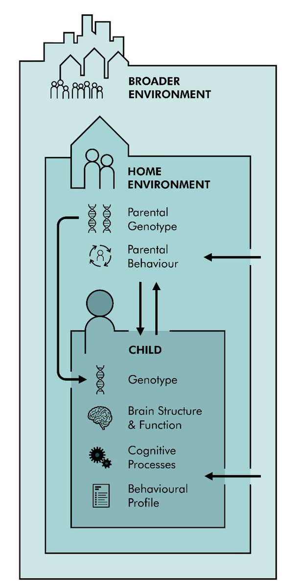 drElsje's tweet image. 🧩 Learning to talk & read isn’t just about effort or teaching—it’s shaped by biology, experience & context.
Our new review unites genetics, neuroscience, psychology & education to explain why children differ in language & reading.
📖 doi.org/10.31234/osf.i…
🧵👇