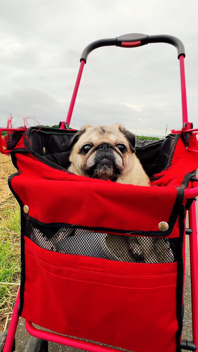 ロスト　メイヘム　BABY BUGGY 5.7 ※手渡し優先 ロスト メイヘム BABY BUGGY 5.7 ※手渡し優先 サーフボード手渡し優先